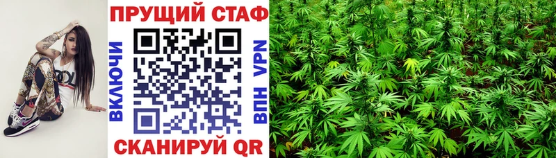 Где купить наркотики Кингисепп ГАШИШ  Кокаин  АМФ  Меф мяу мяу 