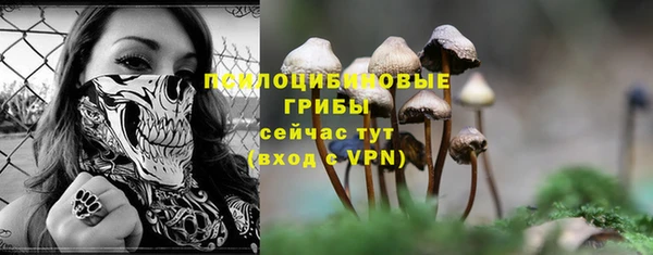 mix Зеленокумск