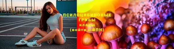 mix Зеленокумск