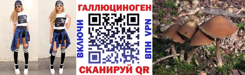 наркота  Кингисепп  Псилоцибиновые грибы MAGIC MUSHROOMS 